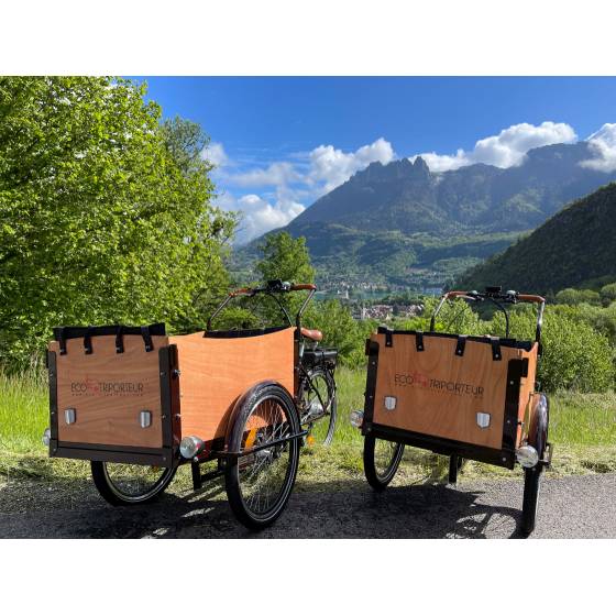 vélo cargo électrique