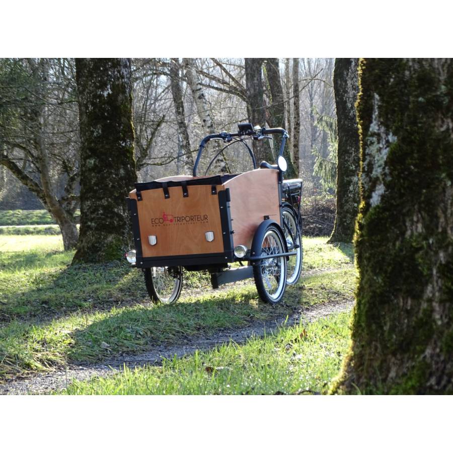 triporteur électrique