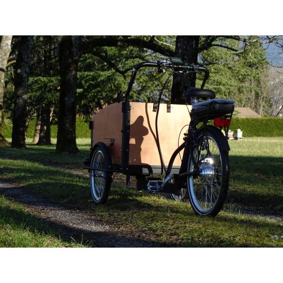 triporteur électrique