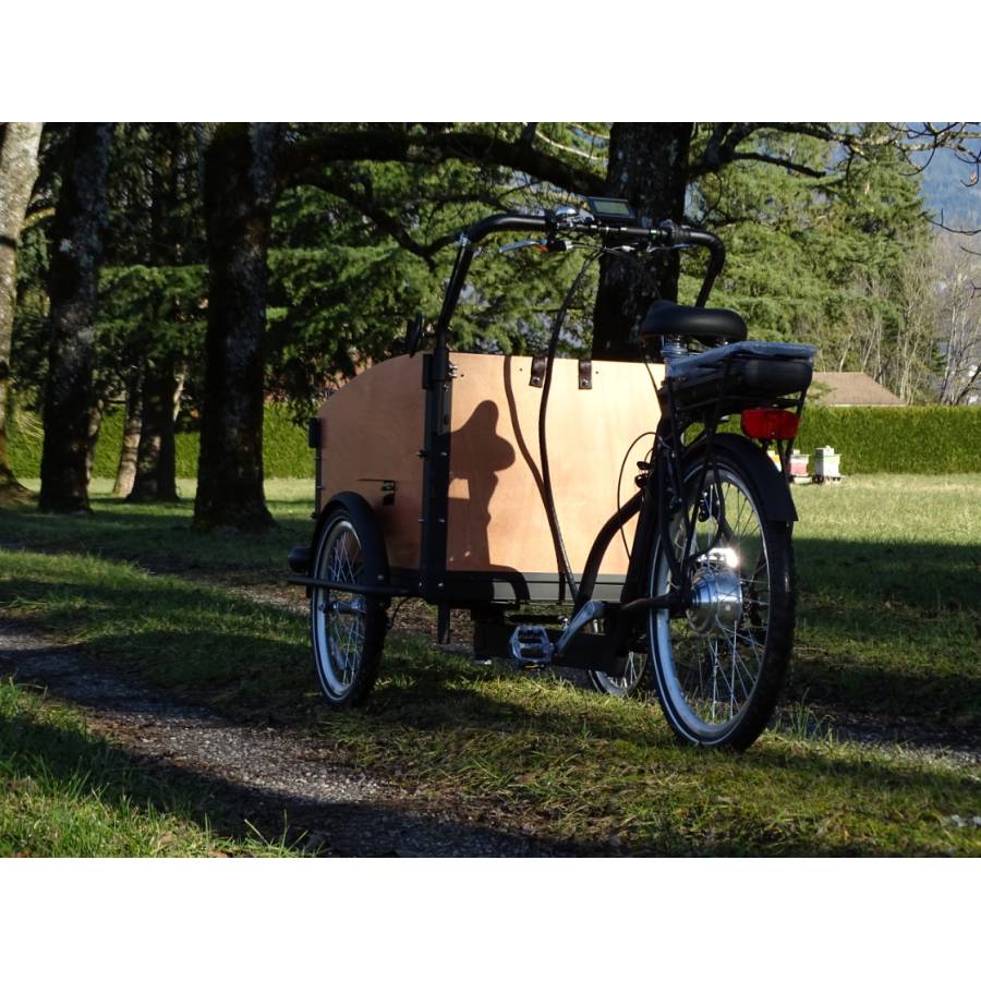 triporteur électrique