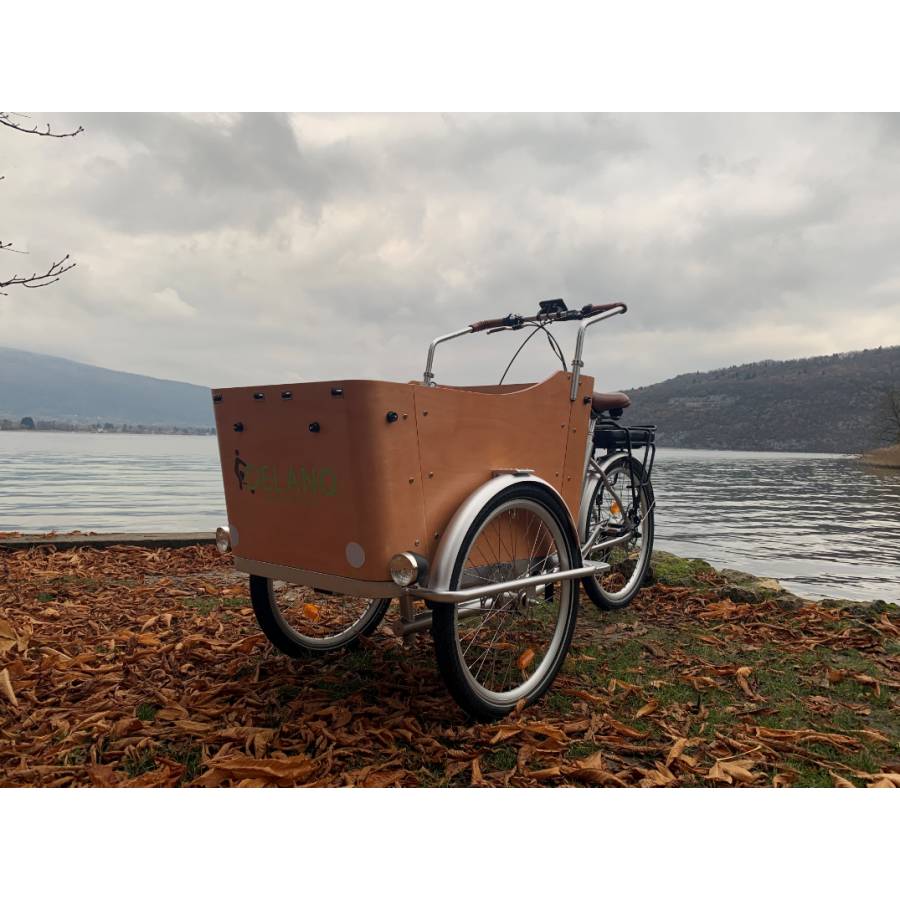 triporteur electrique triporteur electrique