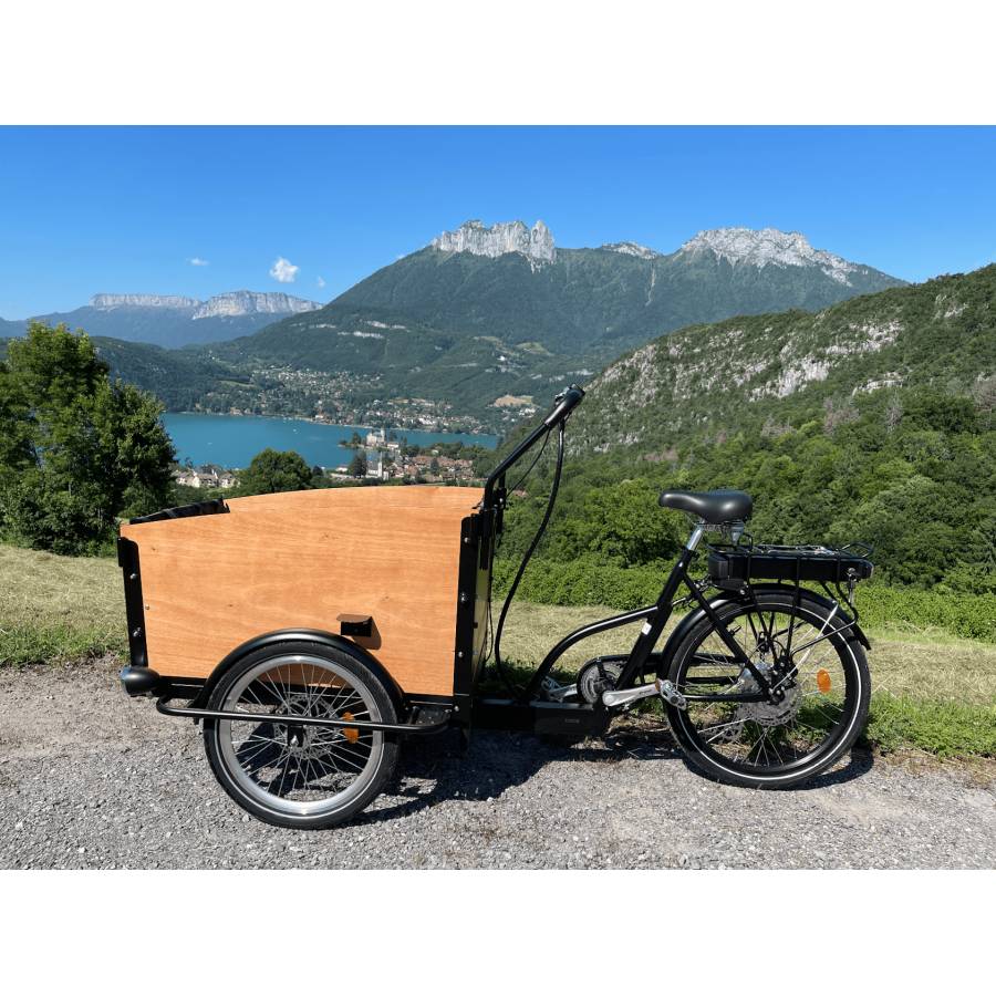 triporteur électrique