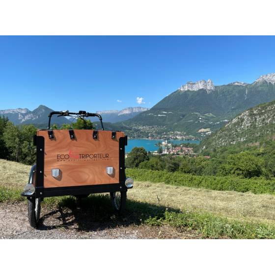 triporteur électrique