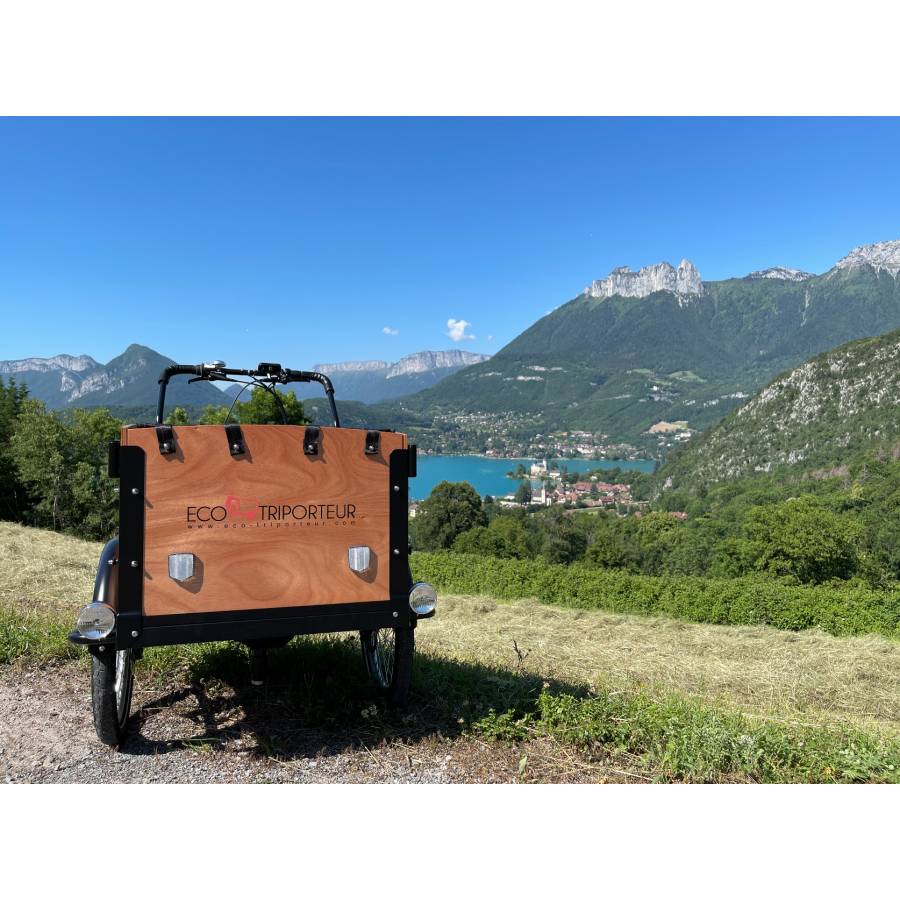 triporteur électrique