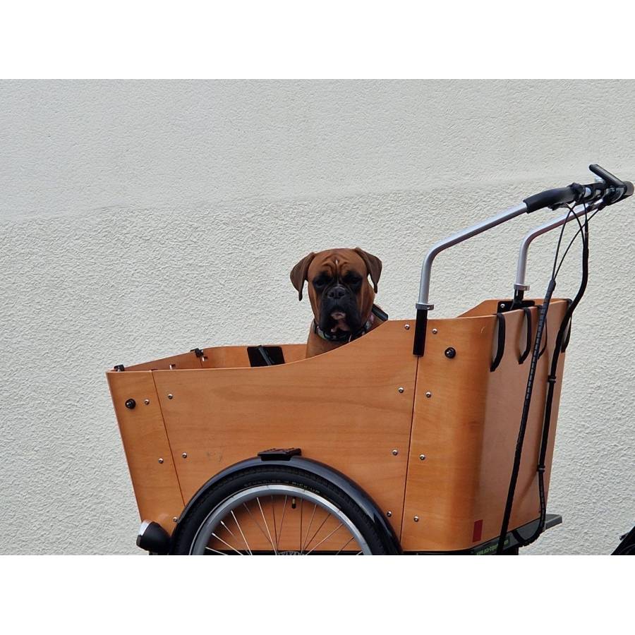 Triporteur pour chien hotsell