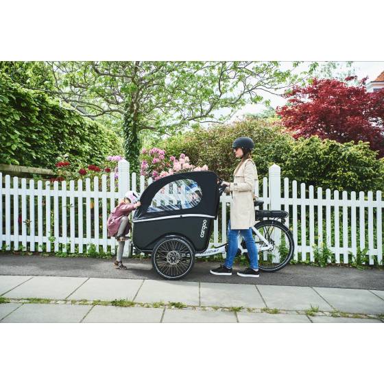 Cargoo électrique