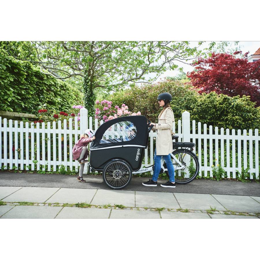 Cargoo électrique
