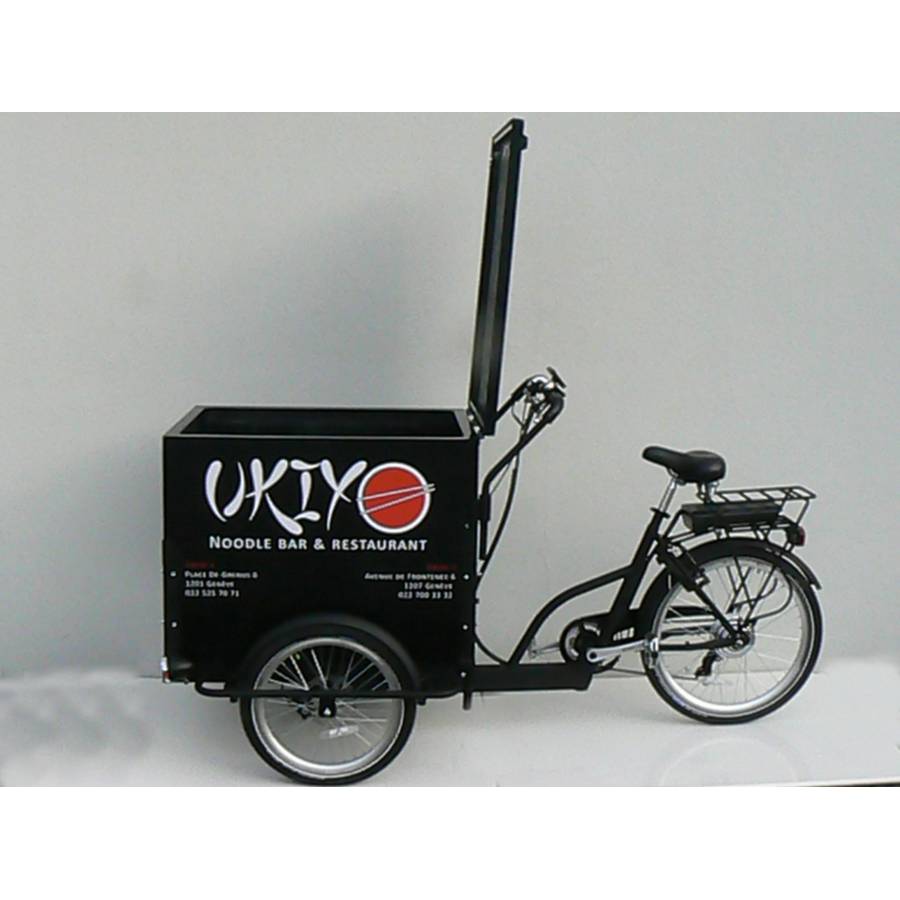 Vélo cargo triporteur professionel
