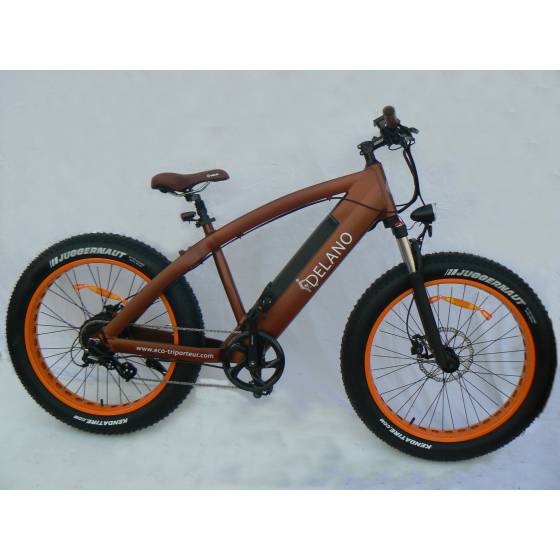 Fatbike