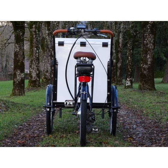 Vélo cargo triporteur Box