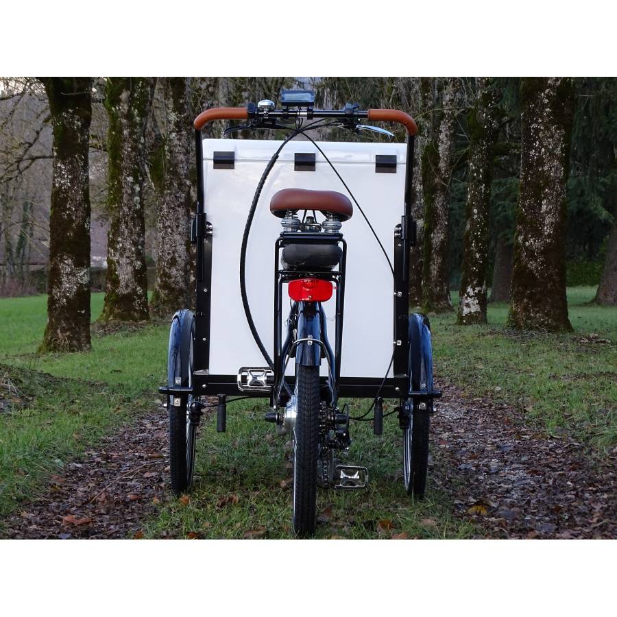 Vélo cargo triporteur Box
