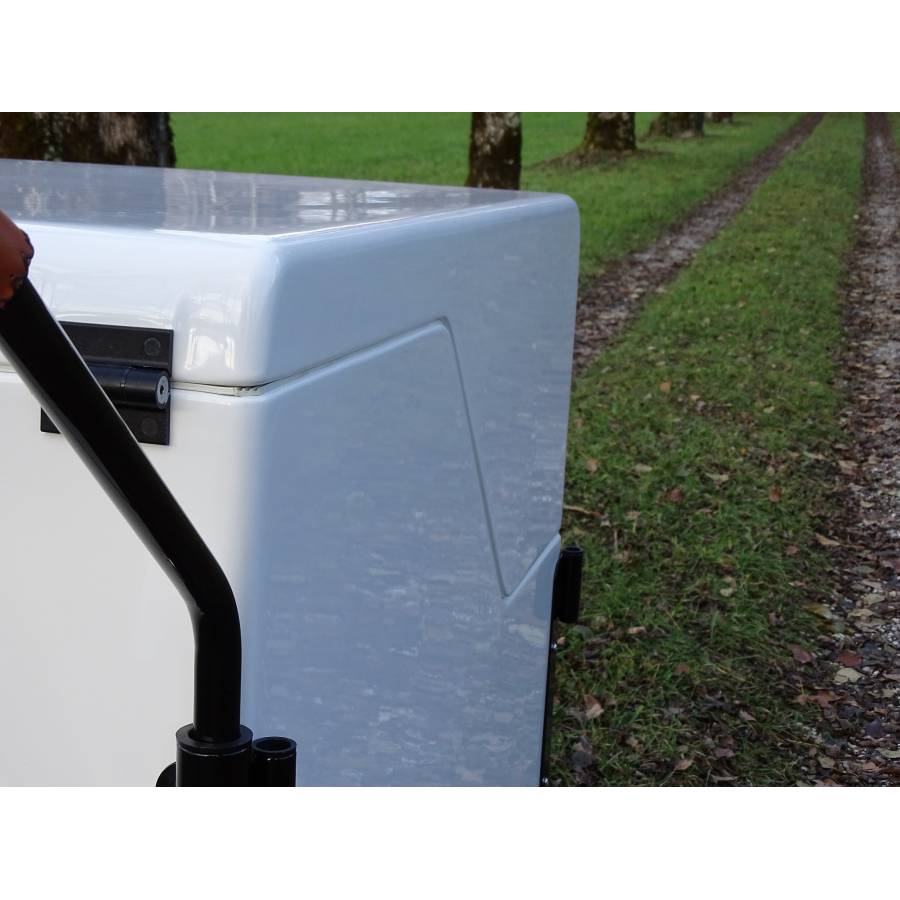 Vélo cargo triporteur Box