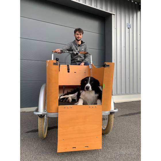 Triporteur Chien