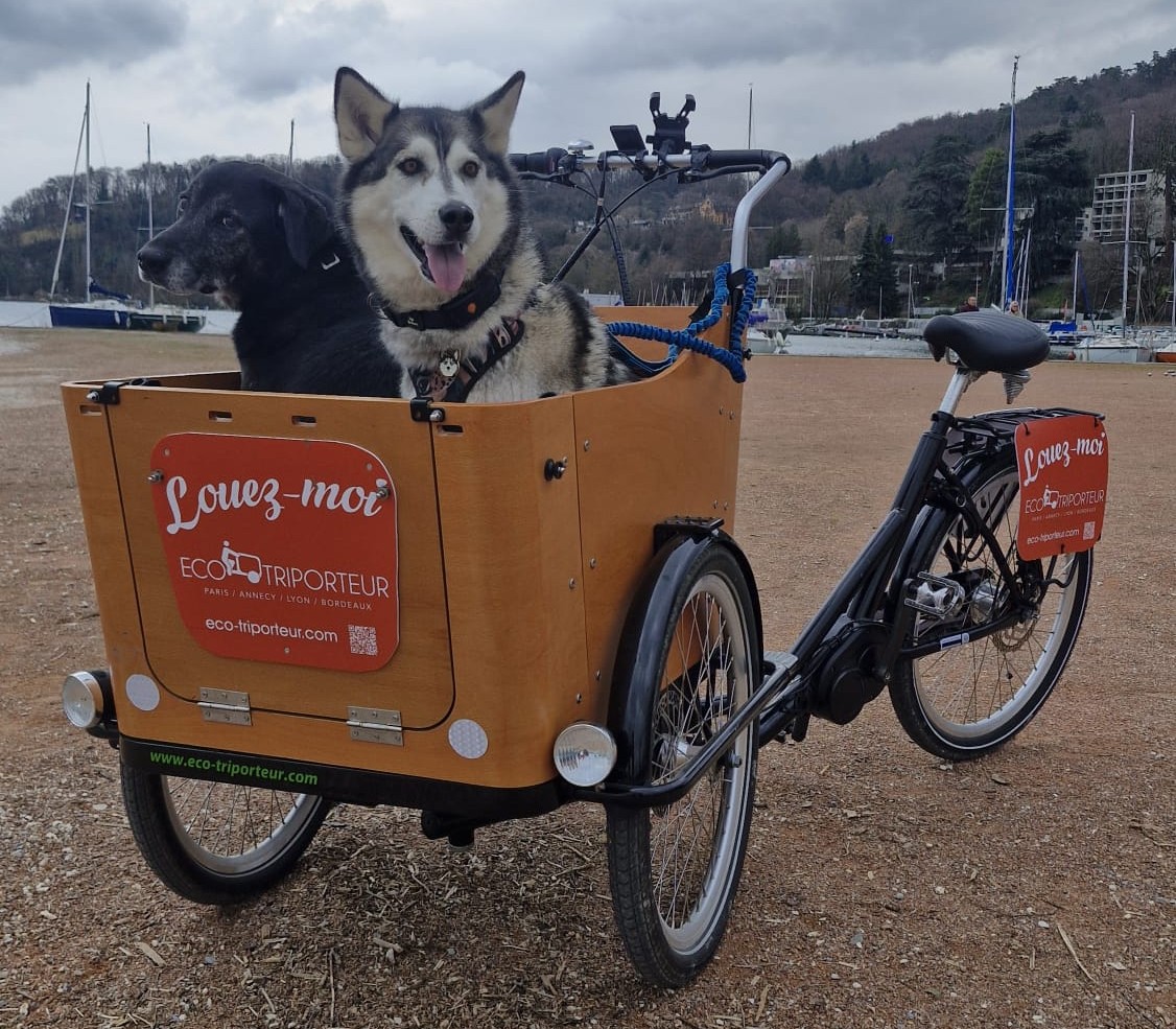 Rental of an Eco Triporteur electric cargo bike in Annecy to transport two large dogs comfortably by the lake